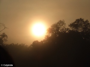 Levé de soleil, dans la brume, sur le Kinabatangan